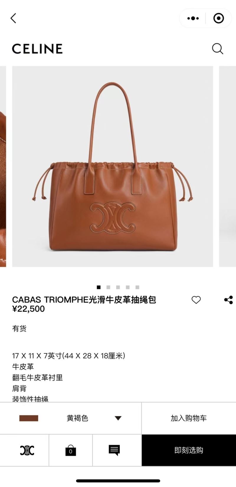 Celine Shopping Bags